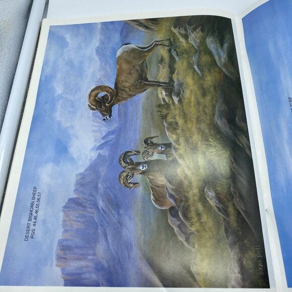 Painter to Painter By Donna Bell 263 Susan Scheewe Presents - Picture 9 of 9